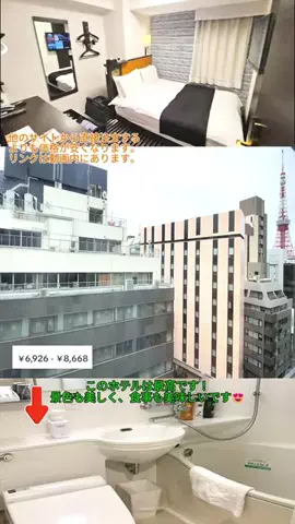 🦟かみじのTikTok投稿