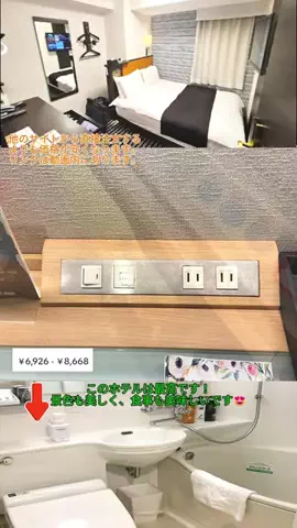 🦟かみじのTikTok投稿