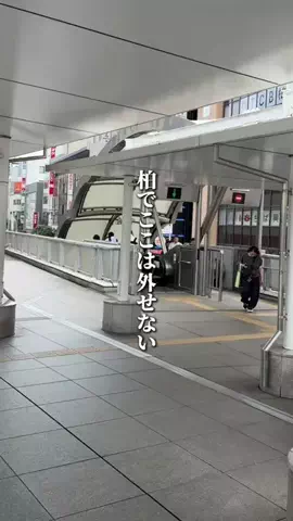 chiba__gourmet__tripのTikTok投稿