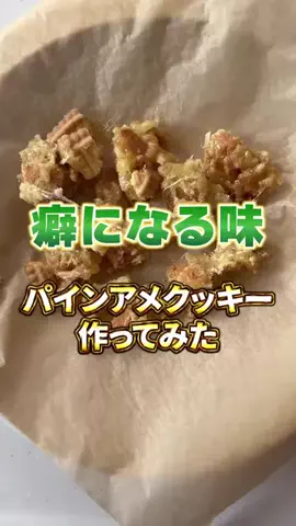 千葉アラサーの日常ログのTikTok投稿