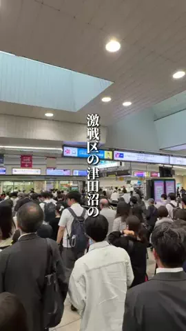 chiba__gourmet__tripのTikTok投稿