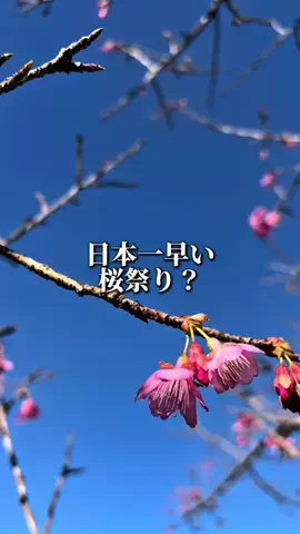アラフォーニート〜Sou〜のTikTok投稿