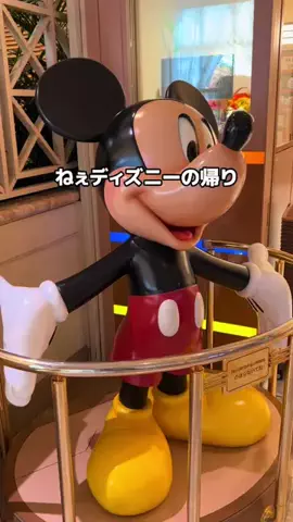 行ってみた｜ホテル紹介のTikTok投稿