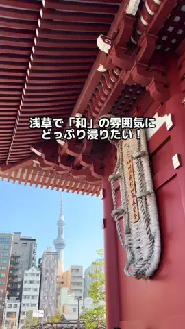 行ってみた｜ホテル紹介のTikTok投稿