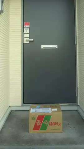 KekeZulのTikTok投稿