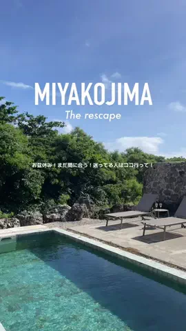 presiatravelプレシアトラベルのTikTok投稿