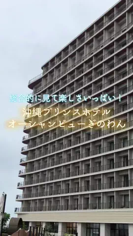 zuenmeiのTikTok投稿