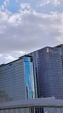 Skydaruma(ダルちゃん)のTikTok投稿