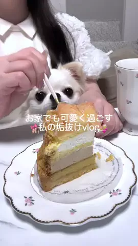 𝑦𝑢𝑟𝑖𝑒のTikTok投稿