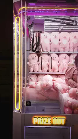 ぜろぷりのTikTok投稿