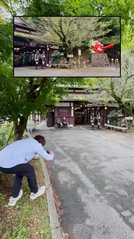 シライフウタのTikTok投稿