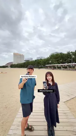 シライフウタのTikTok投稿