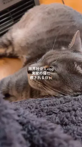 ねむりの鍼灸師の1日😴のTikTok投稿