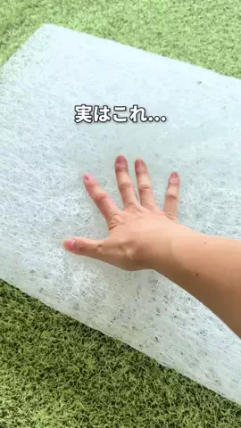 サウナコレクション【サウコレ！】のTikTok投稿