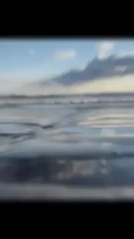 にほんじんのTikTok投稿