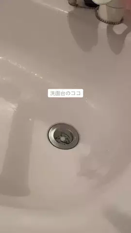 バカ売れ研究所のTikTok投稿