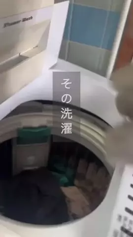 バカ売れ研究所のTikTok投稿