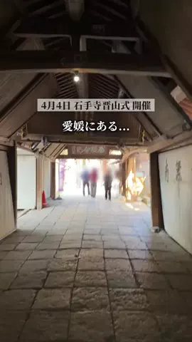はれ｜おしゃれ愛媛🍊💨のTikTok投稿