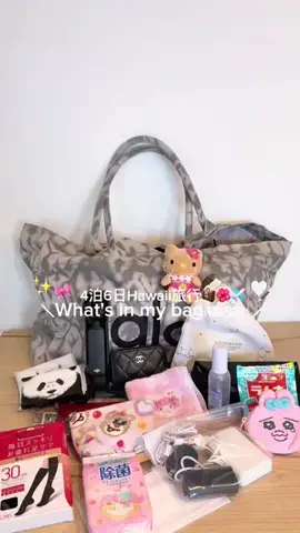 のんちのTikTok投稿
