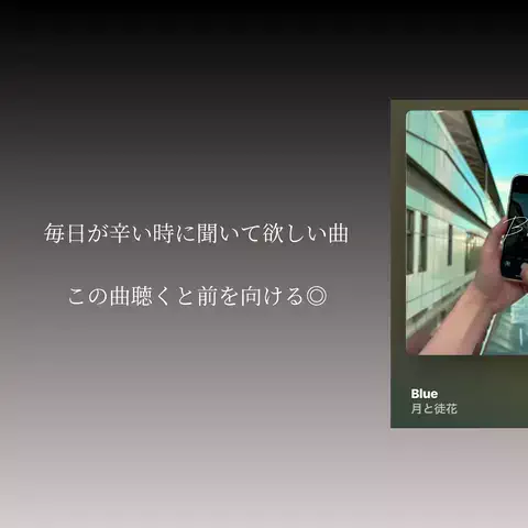 大学生のプレイリスト物語のTikTok投稿