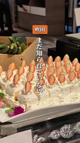 ume_osaka_hokusetsuのTikTok投稿