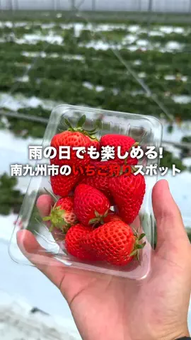 はいちーずの鹿児島旅✌️のTikTok投稿