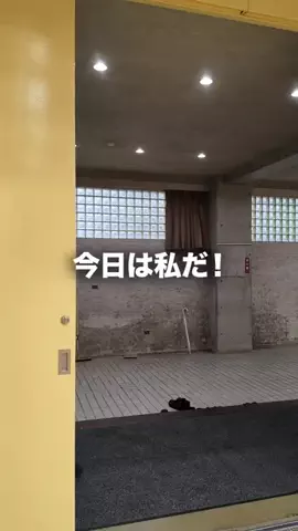 🥒メロンパンナ🥒のTikTok投稿