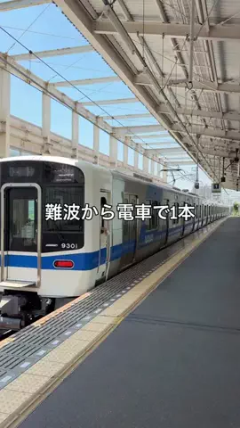 けいんのすけ【プリンと大阪グルメ】のTikTok投稿