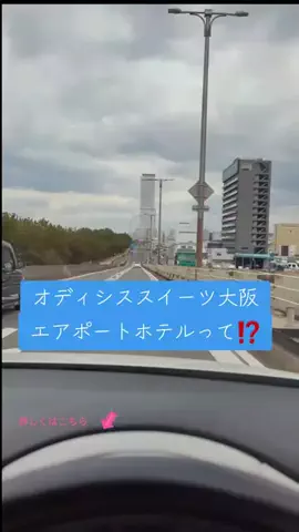 高齢乙女のTikTok投稿