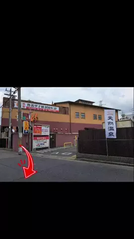 高齢乙女のTikTok投稿