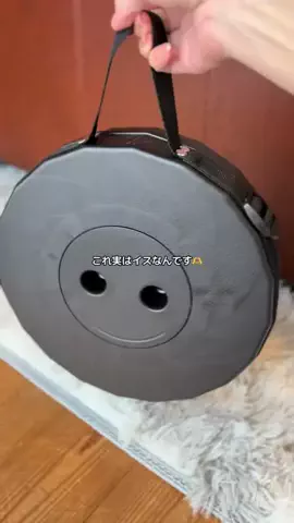 ハルとアキ🐱のTikTok投稿