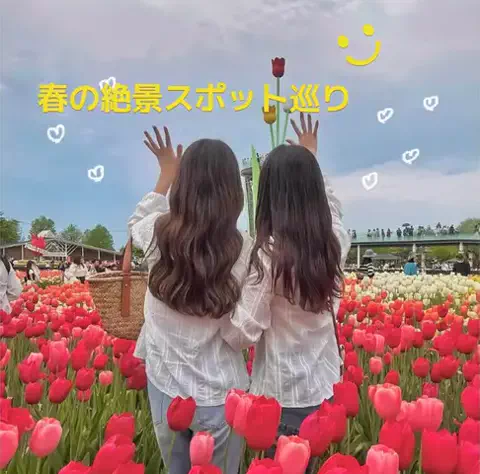 たび先生のTikTok投稿