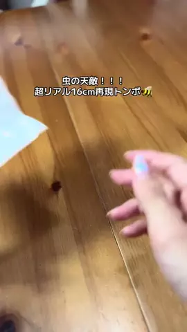 ハルとアキ🐱のTikTok投稿