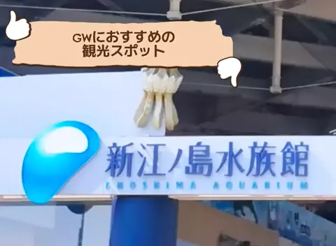 たび先生のTikTok投稿