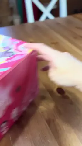 ハルとアキ🐱のTikTok投稿