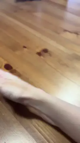 ハルとアキ🐱のTikTok投稿