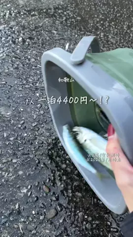まりりん【関西ママ】子連れアウトドア×穴場スポットのTikTok投稿