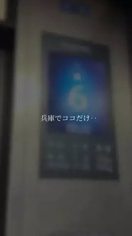 全力神戸グルメ@全力マネージャーあやぱんのTikTok投稿