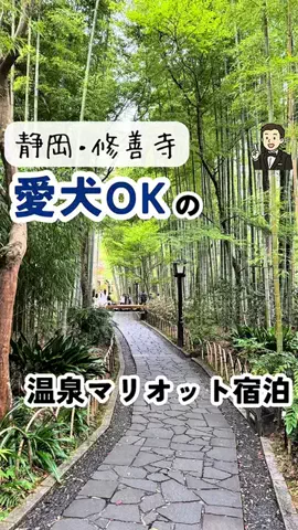 旅する作家まつむら@通訳案内士のTikTok投稿