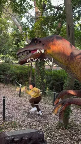 まりりん【関西ママ】子連れアウトドア×穴場スポットのTikTok投稿