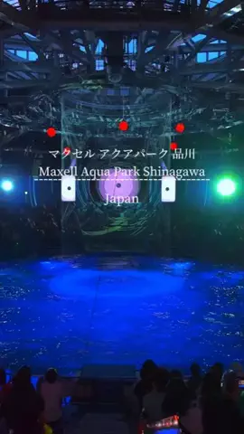初音美優華（みゆか）のTikTok投稿