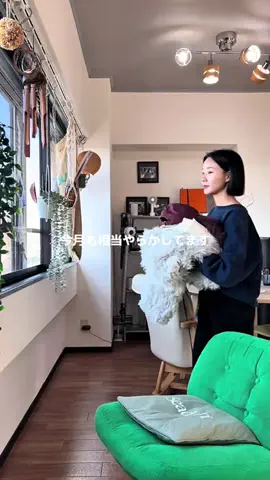 ca7のTikTok投稿