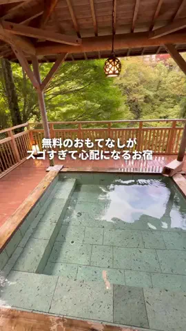 トンちゃん🐷ひとり女子旅のTikTok投稿