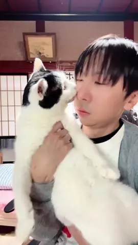 としもりくん.🐈🐾のTikTok投稿