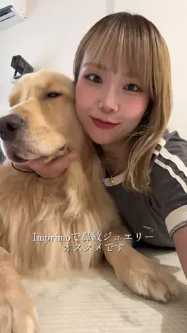 おにゅこじハウスのTikTok投稿