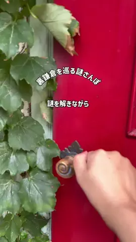 hana_no_odekakeのTikTok投稿