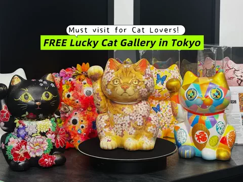 Serika in Japan 🇯🇵のTikTok投稿