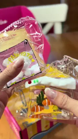 ハルとアキ🐱のTikTok投稿
