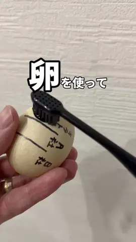 元ガリしゅん│人生逆転記録のTikTok投稿