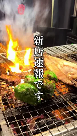 はな⌇札幌グルメ&カフェのTikTok投稿